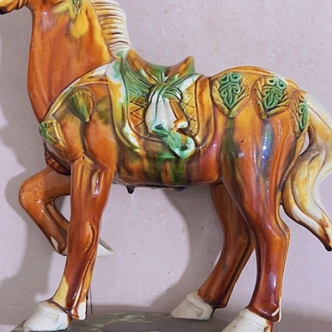 香榧木@*城Fhgfuhchvcgvcgvc