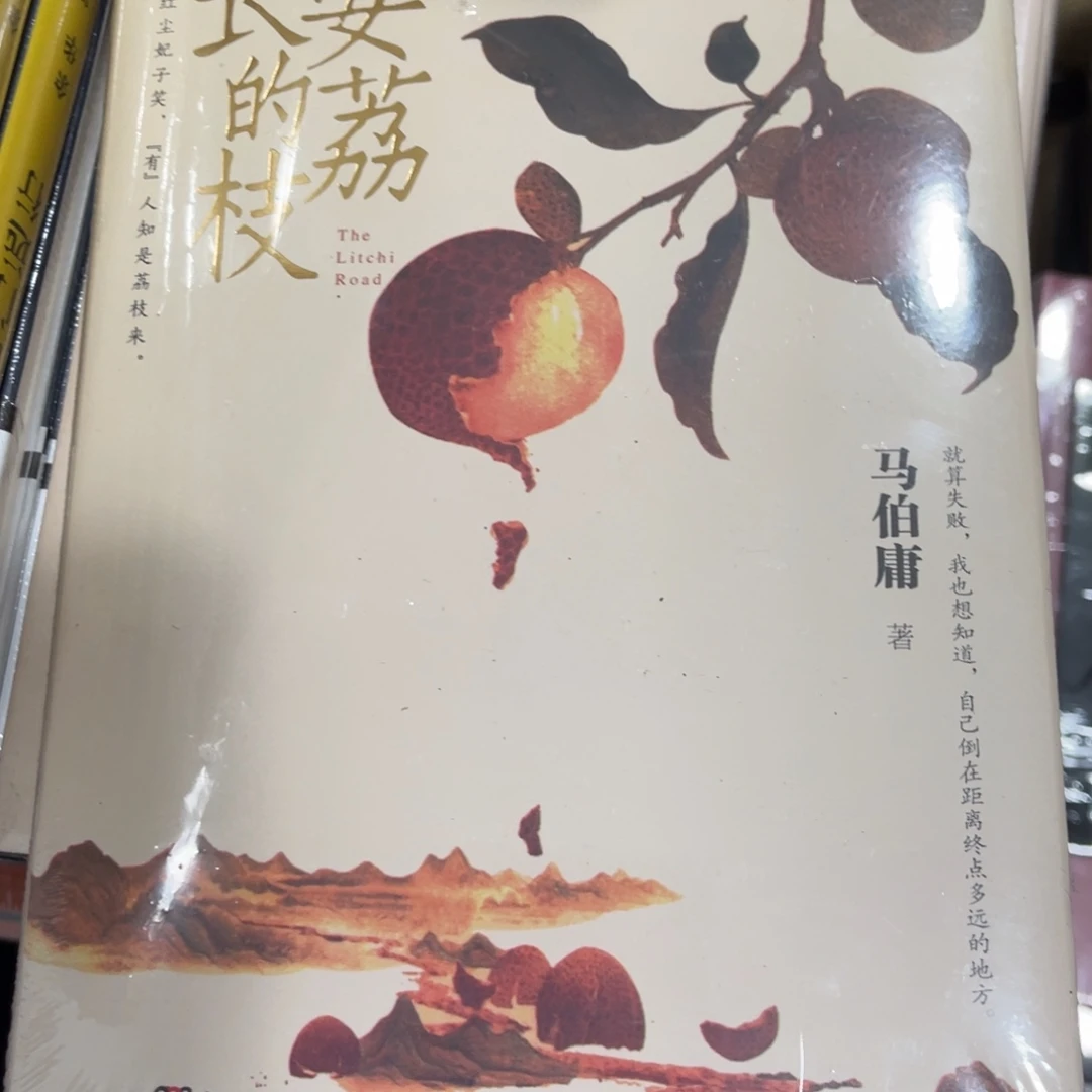 长安的荔枝精装一个