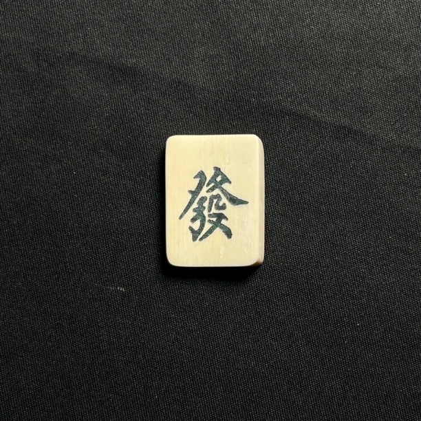 H41077 发 只做天然猛犸牙