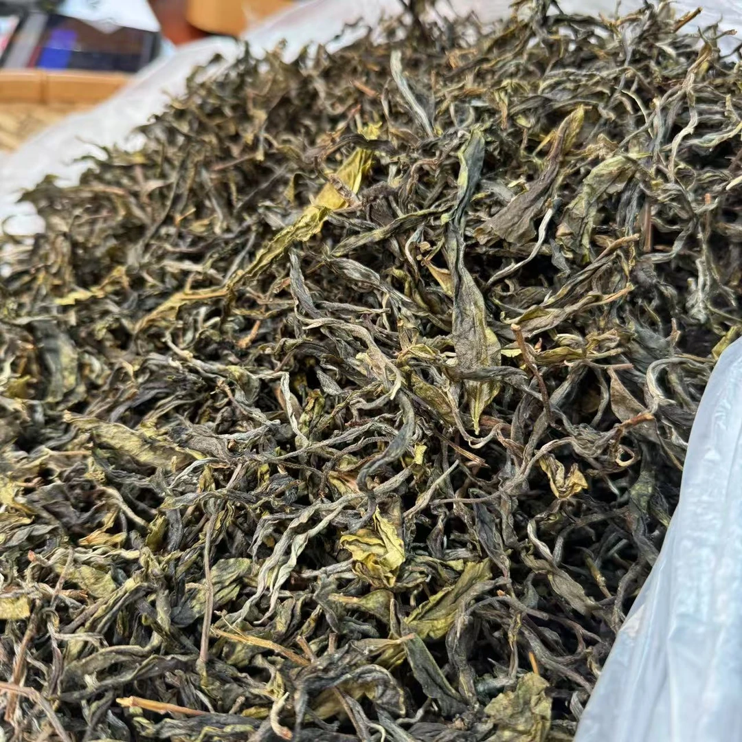 【小刚家的茶】7-13【LC170】2025年傈所 单株 散生（晒青毛茶）