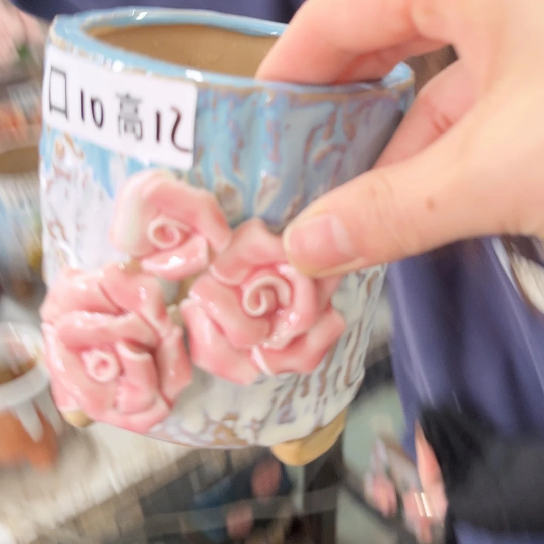 【闪购商品】红陶福利