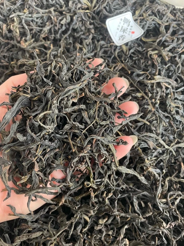 甄卓鱼胶 潮州凤凰山鸭屎香 潮汕功夫茶 香味浓回甘好 耐冲 500g