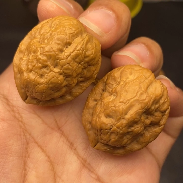 吊坠文玩核桃31尺金刚鹦鹉