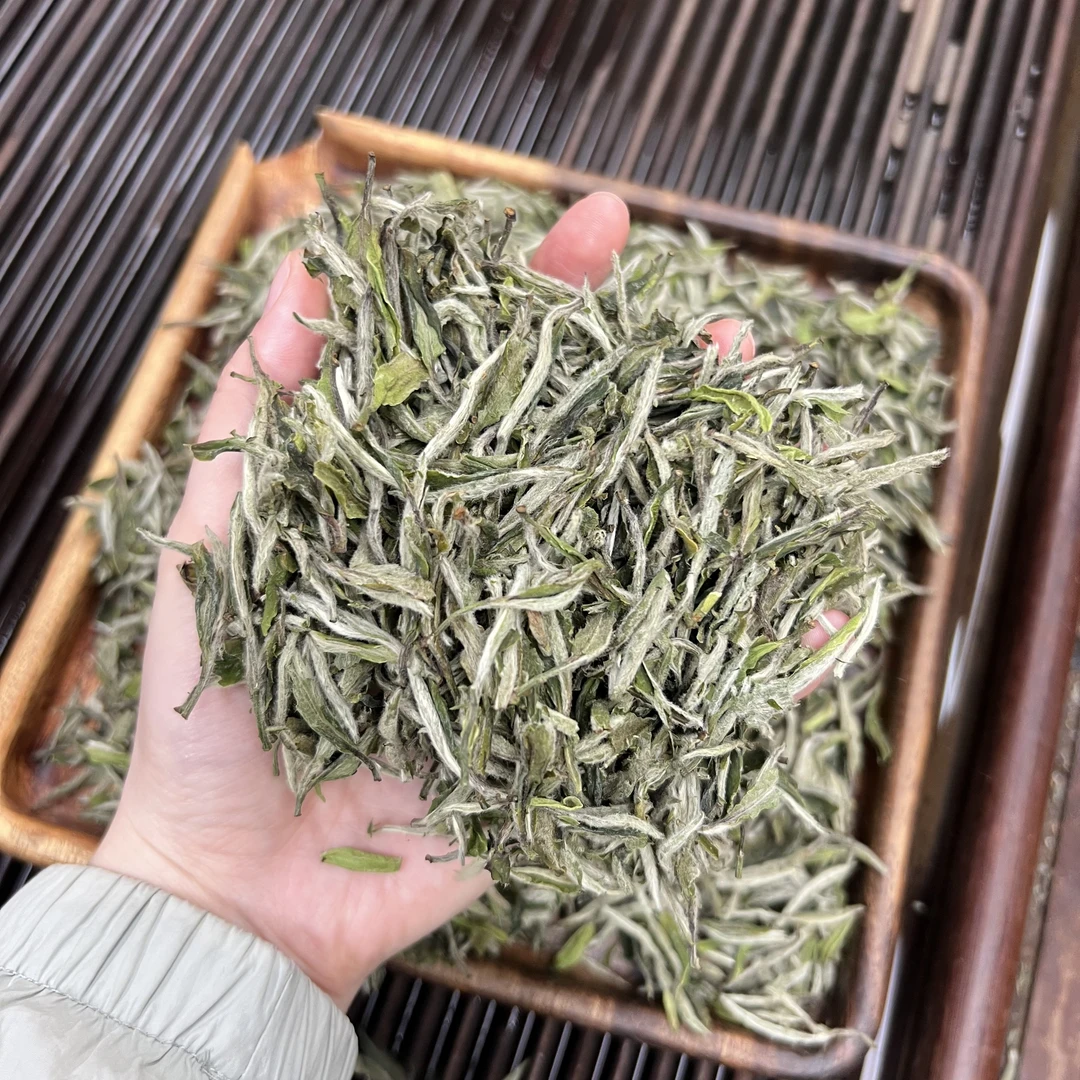 2025牡丹王 ① 小鹿收茶 福鼎白茶 5月27