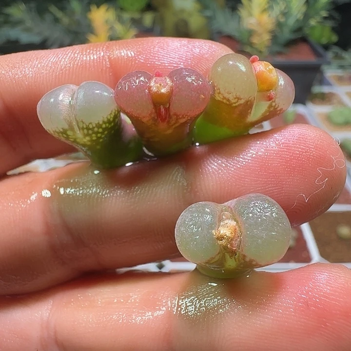 山***水哈哈哈哈哈哈哈。 302