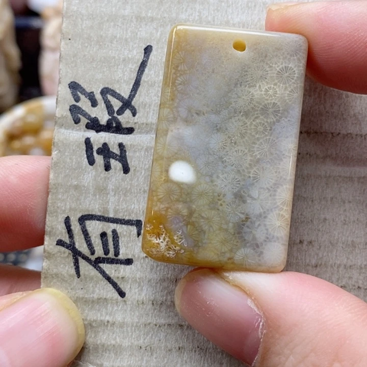 硅化珊瑚（珊瑚玉）颈饰未镶嵌悠*猫