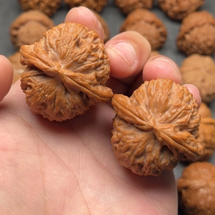 海***豪文玩核桃把件白狮子41