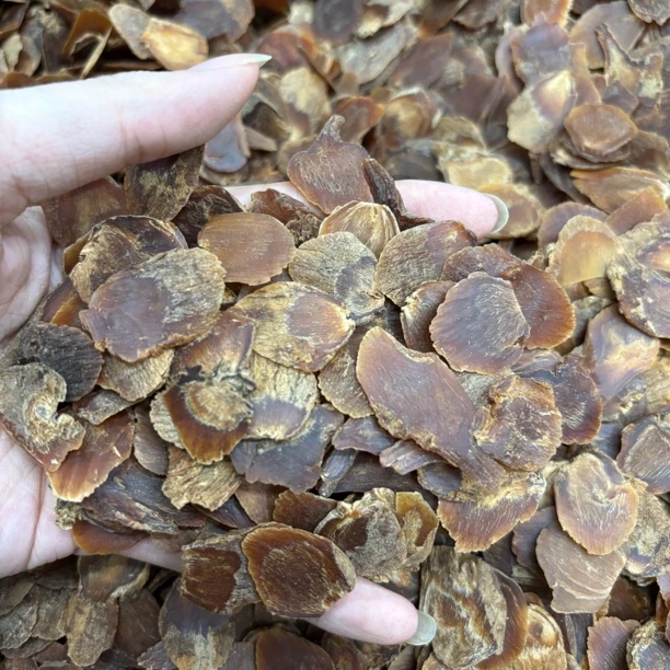 长白山正宗红参破损片纯无硫 高性价比食用农产品