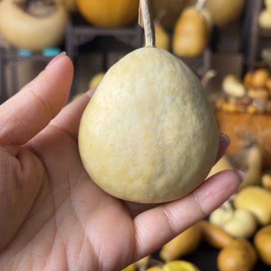 。****咸花叶厚扁厚皮响籽