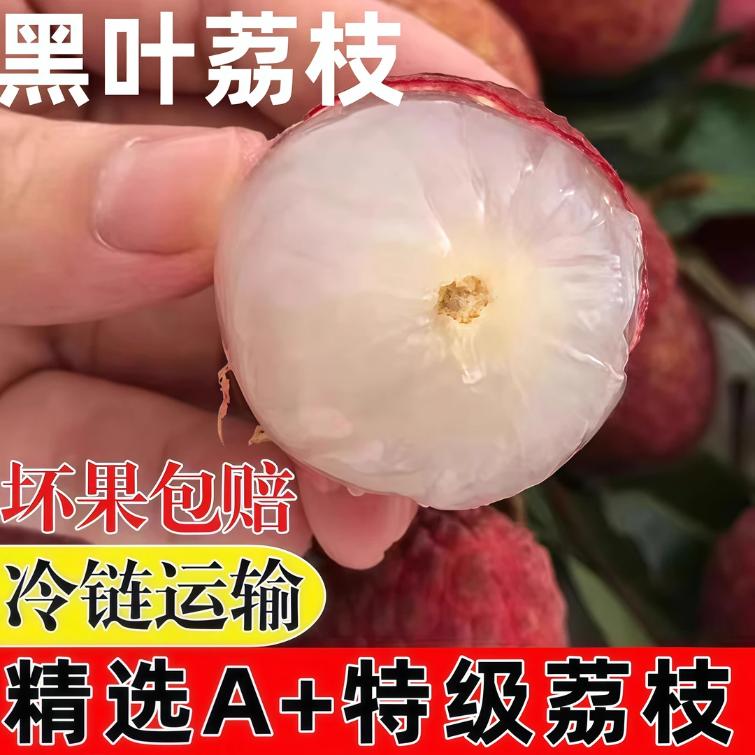 朋柚/黑叶荔枝福建5斤装新鲜现摘应季水果当季孕妇水果果园直采