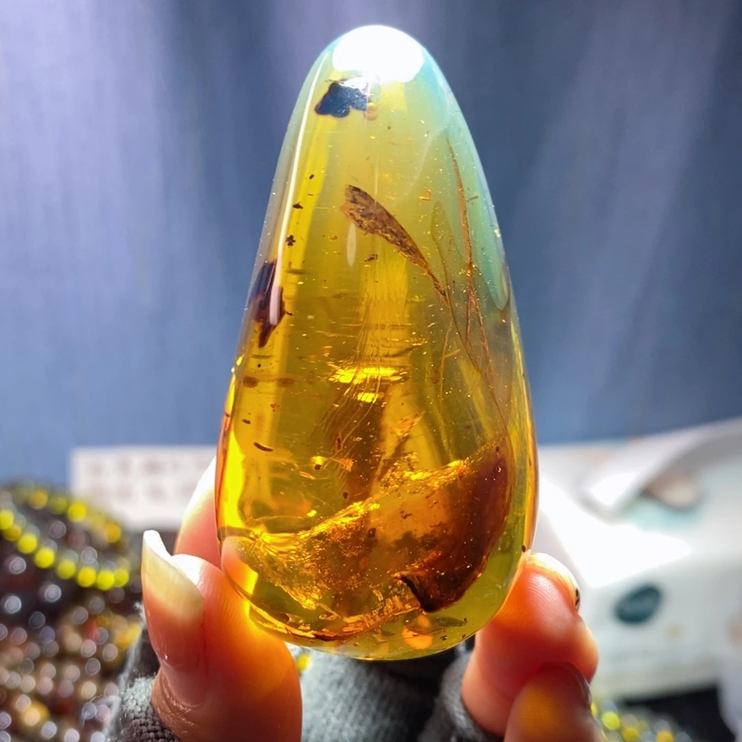 未镶嵌琥珀裸石虫