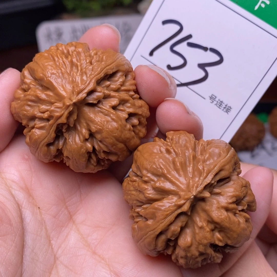把件文玩核桃753全品霸王龙4.2