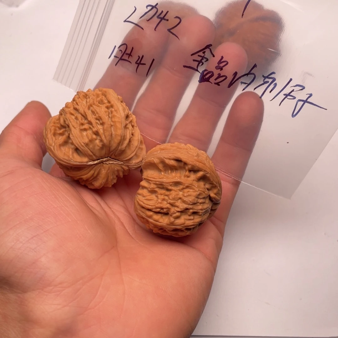 白狮子00142迟1111