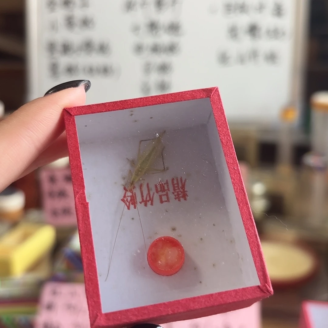 10条柬埔寨 不包断须尾