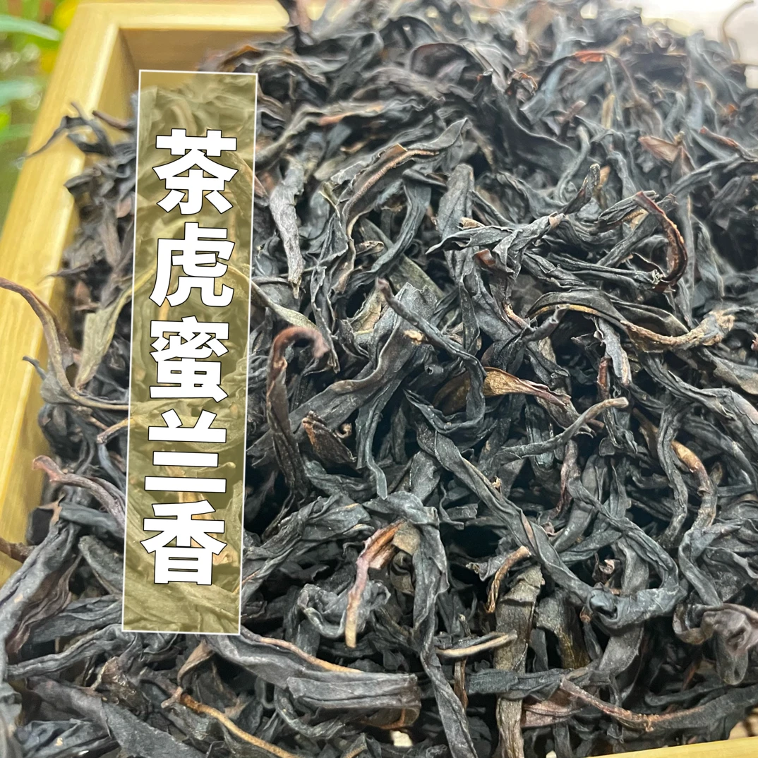 【茶虎蜜兰香】凤凰单丛茶中极具特色的一个品类