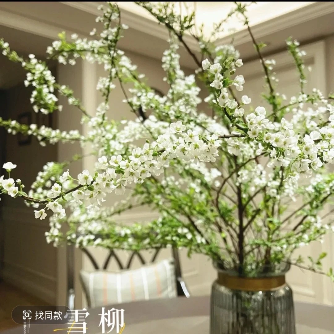 开花机器雪柳年宵花干枝雪柳冬天必入的鲜切花