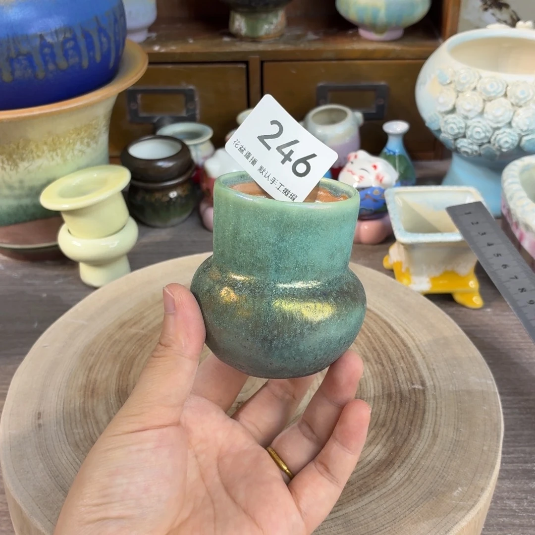 花盆花盆花盆花盆炫彩