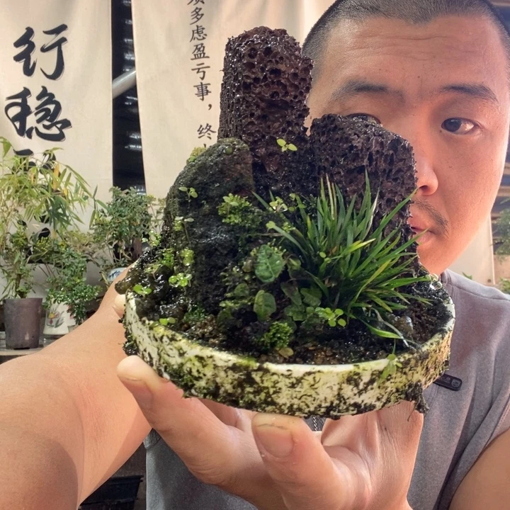无花朵退款拉黑拉黑1