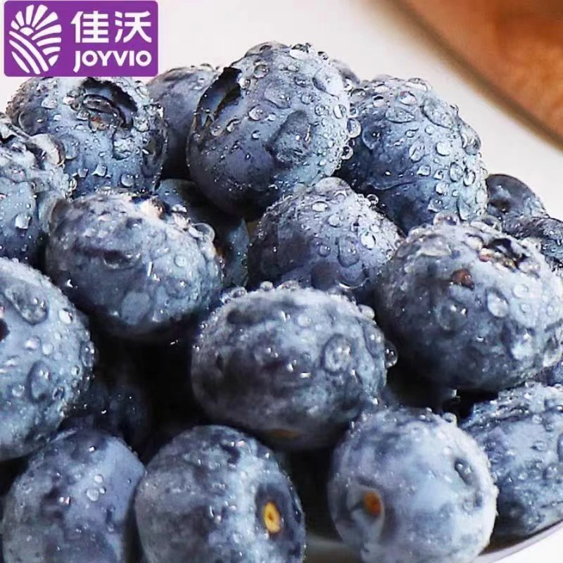 佳沃  大果 蓝莓  2盒/250g    22mm/净果【阿班果业】云南蓝莓云南省昆明市