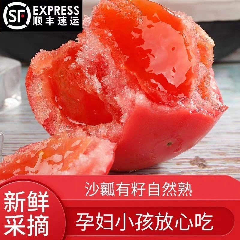 漠上美农顺丰包邮甘肃民勤沙漠普罗旺斯西红柿新鲜沙瓤多汁可生吃