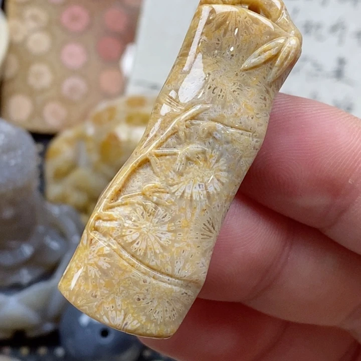 颈饰未镶嵌硅化珊瑚（珊瑚玉）