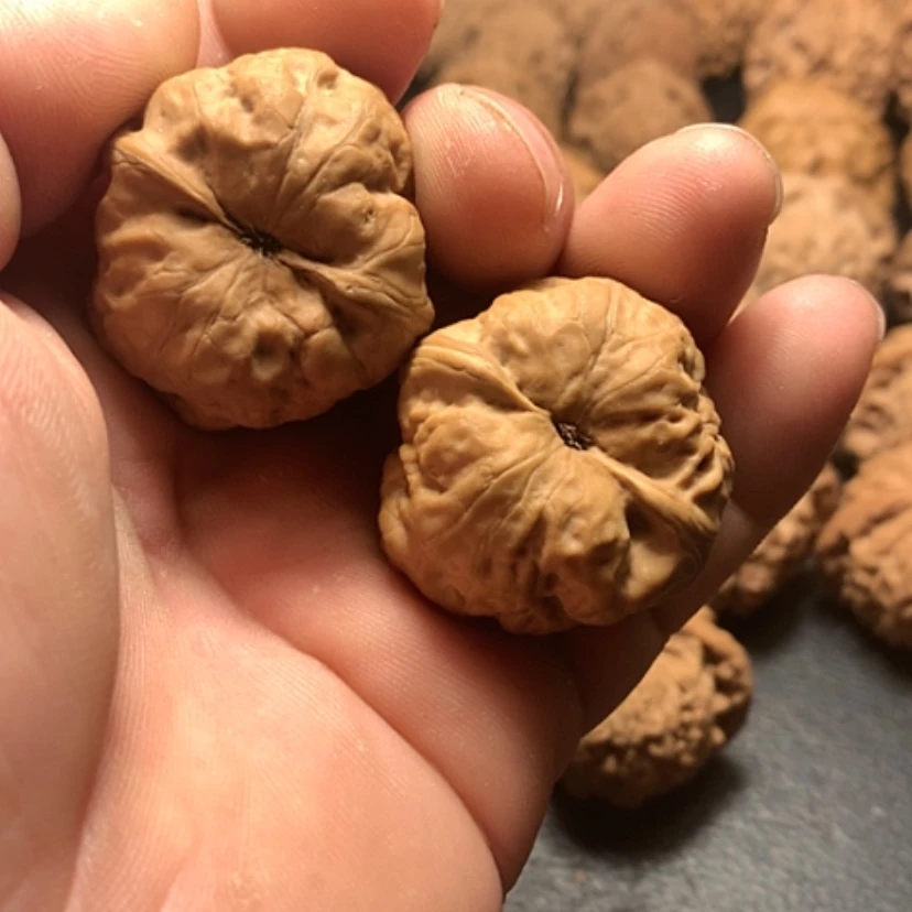 【闪购商品】把件文玩核桃清**6骨蝉