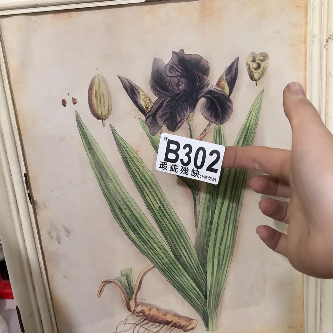 核桃木/黑胡桃（胡桃木）