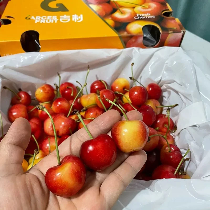 【果然好】5J金车智利海运进口车厘子4.4斤包邮正牌 内附果径卡