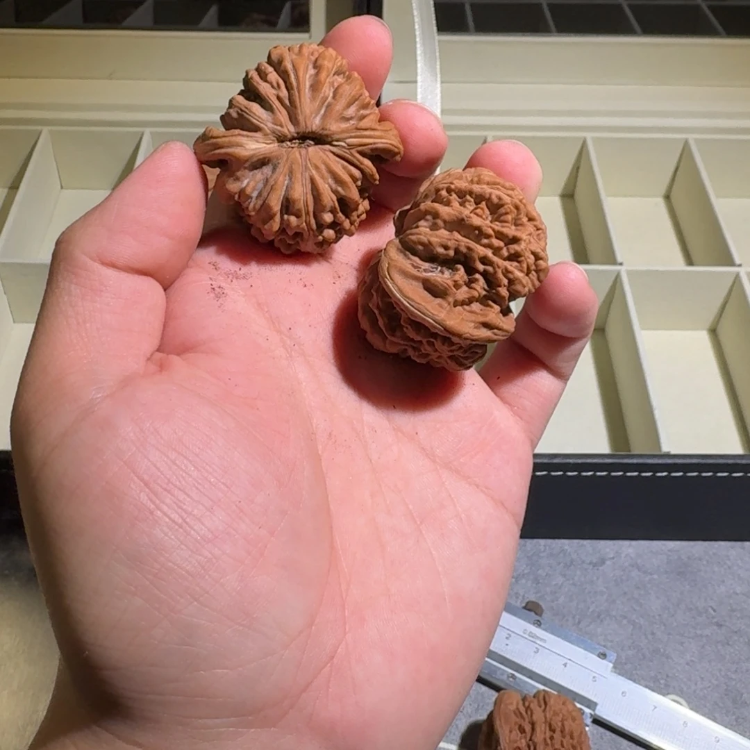 凌***云大叶紫檀（黑酸枝木类）
