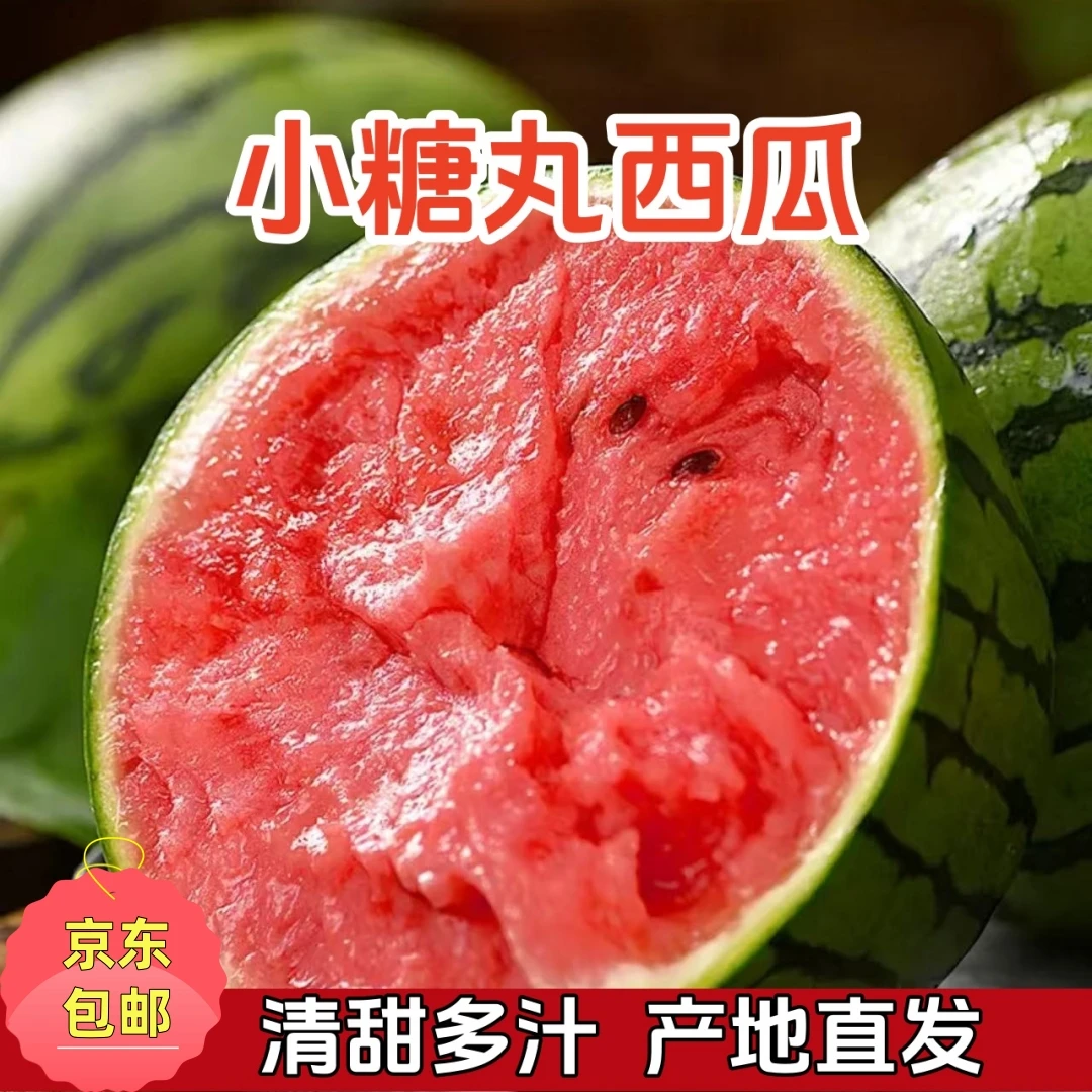 【京东包邮】2K手撕小糖丸西瓜皮薄多汁清甜可口现采现摘产地直发