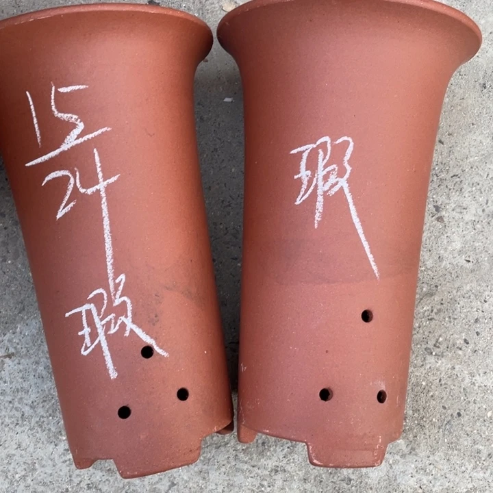 这是自作自受啧啧啧