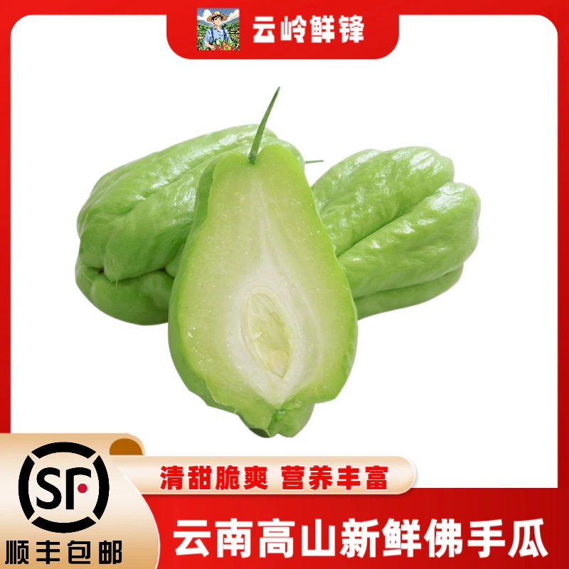 顺丰包邮云南佛手瓜窝瓜捧瓜丰收福寿自种新鲜蔬菜当季现摘洋丝瓜