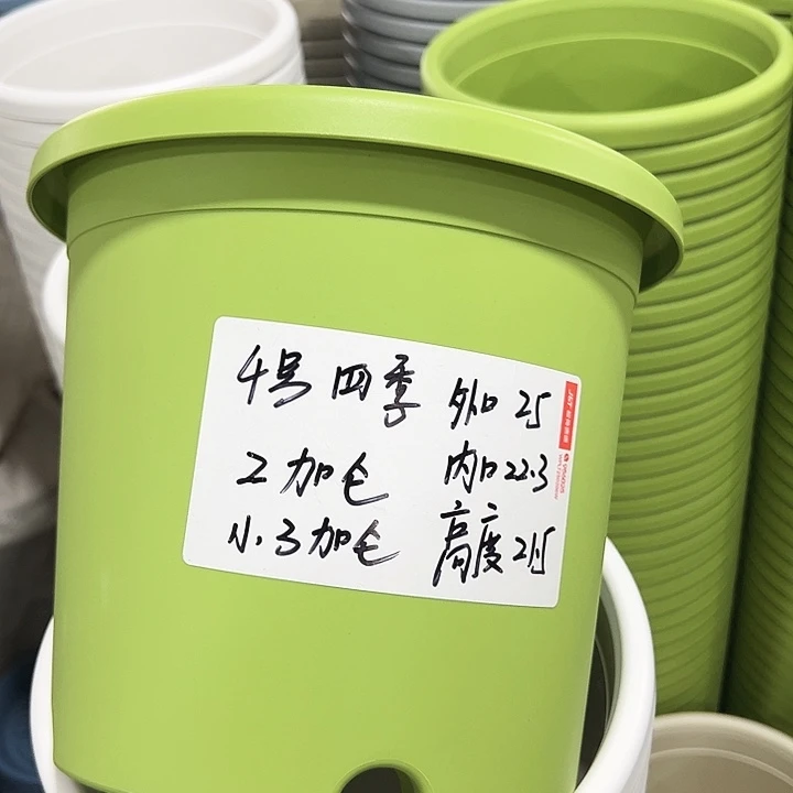 特价4号四季口25高21.5果绿无托8只