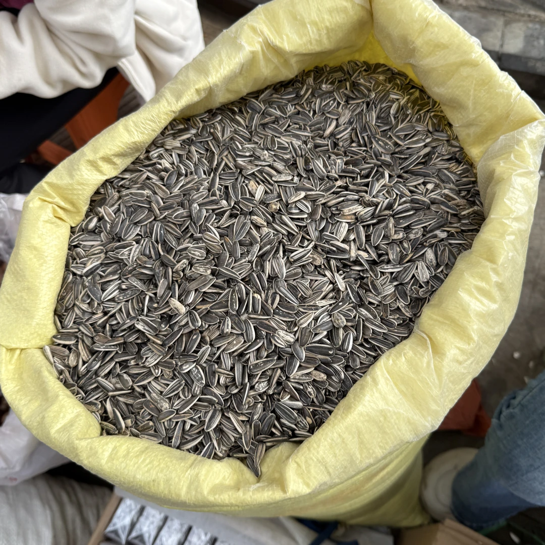 云南高山老品种瓜子原味