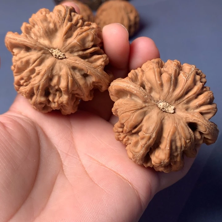 大***鹏吊坠文玩核桃粗筋