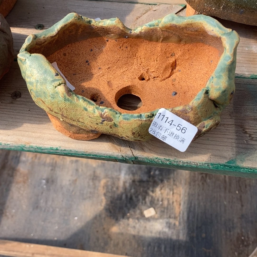 56号多肉盆口径14