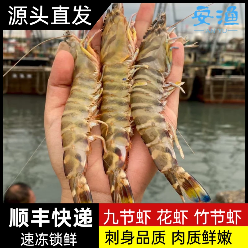 北海海捕野生竹节虾花虾九节虾斑节虾鲜活速冻锁鲜顺丰冷链发货