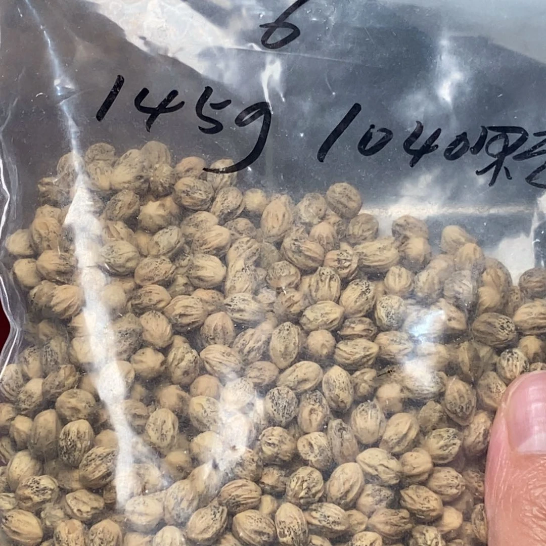 柏香籽/百香籽吊坠唯*?