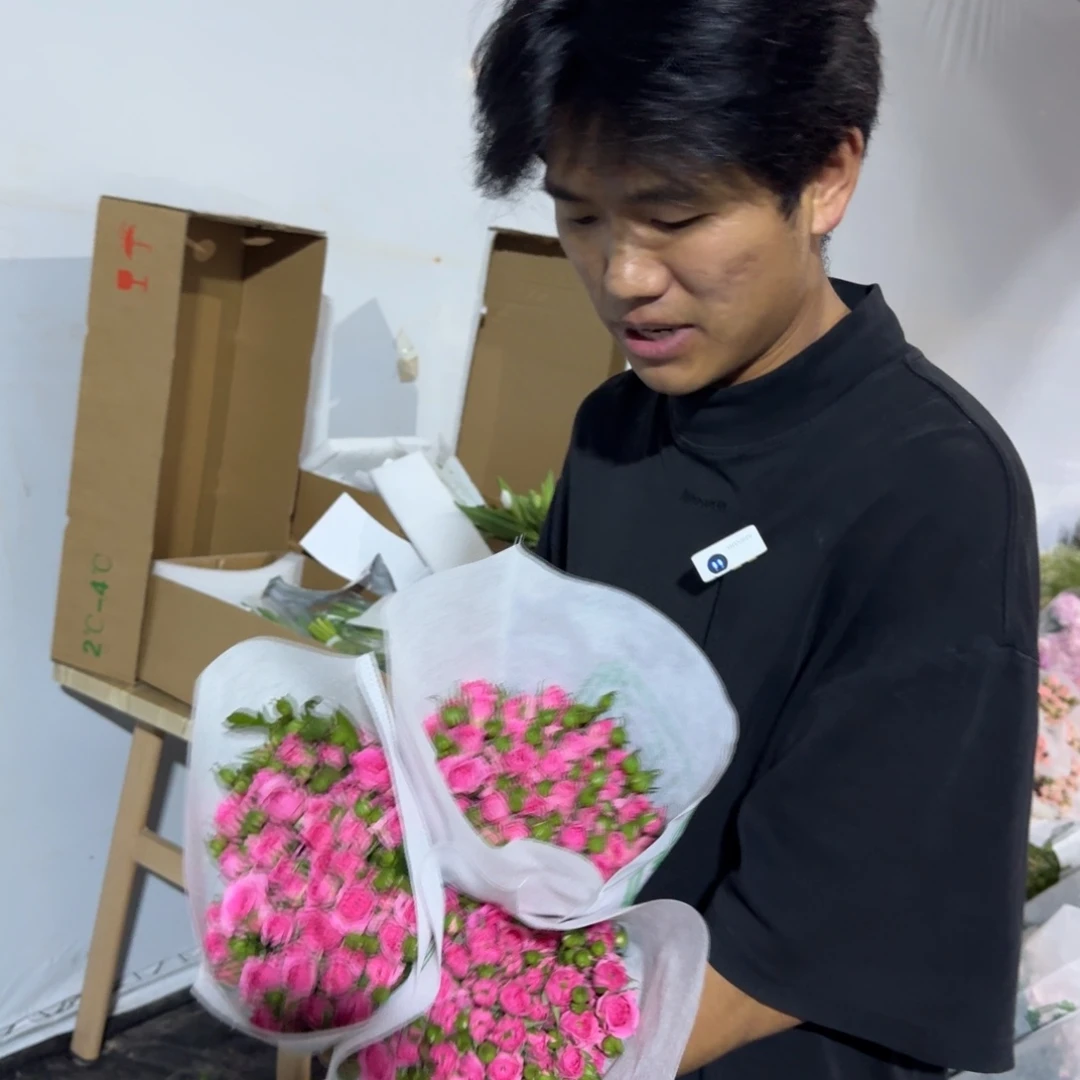 苏菲3扎包邮价秒杀