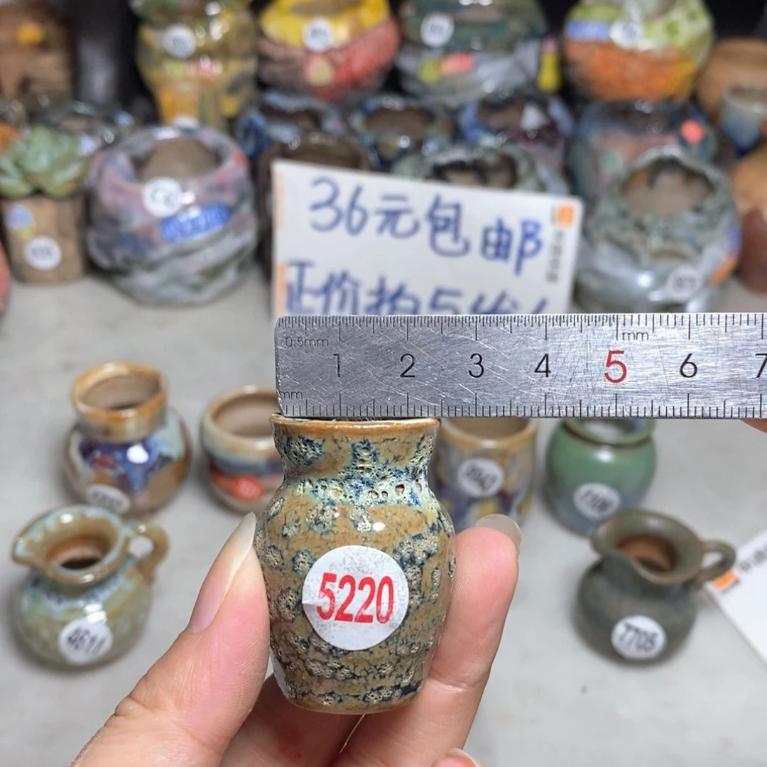 拍5送一个小礼物