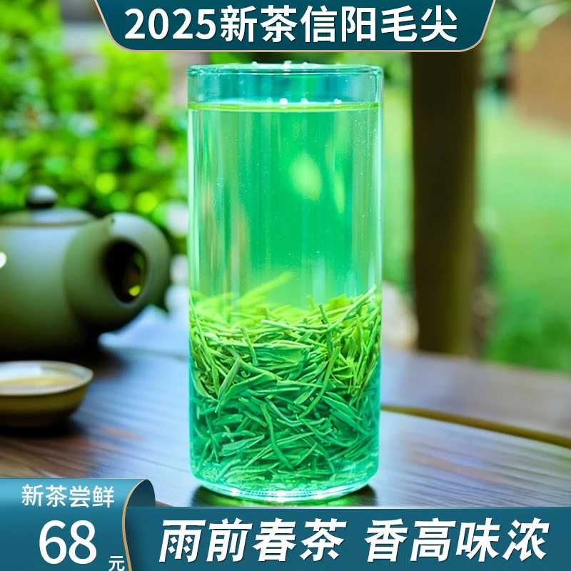 浓香耐泡信阳毛尖2025新茶雨前春茶口粮茶绿茶毛尖茶信阳绿茶茶叶