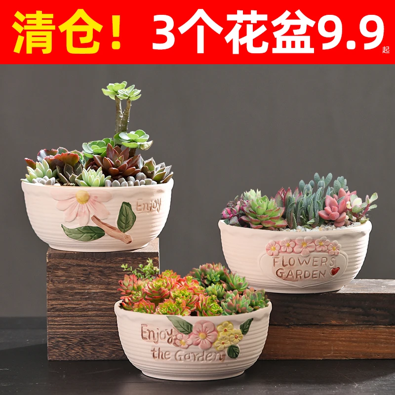 多款大号多肉花盆陶瓷创意简约特大口径个性粗陶多肉植物拼盘组合