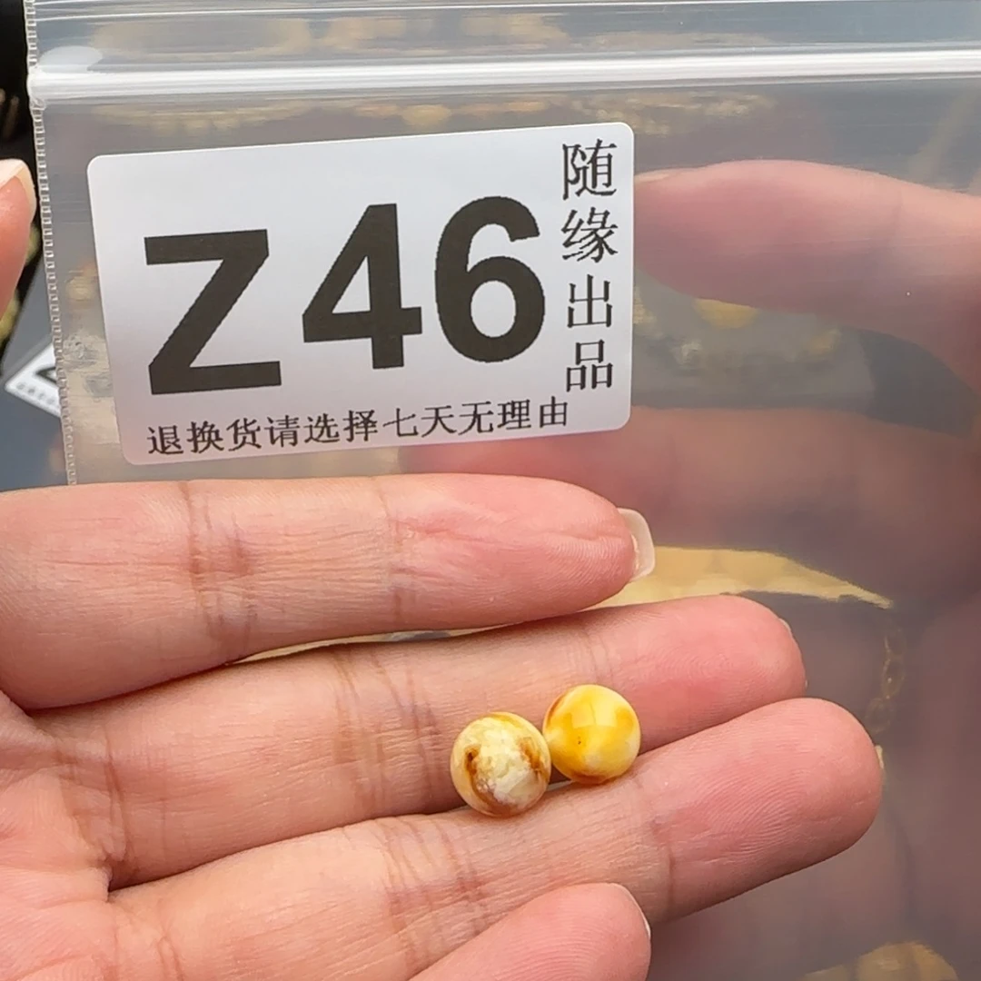 裸石琥珀未镶嵌8尺寸福利