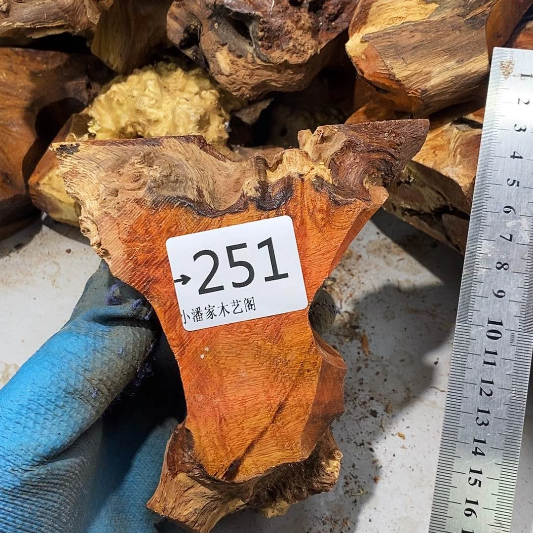 香榧木~****~火琉璃……火琉璃