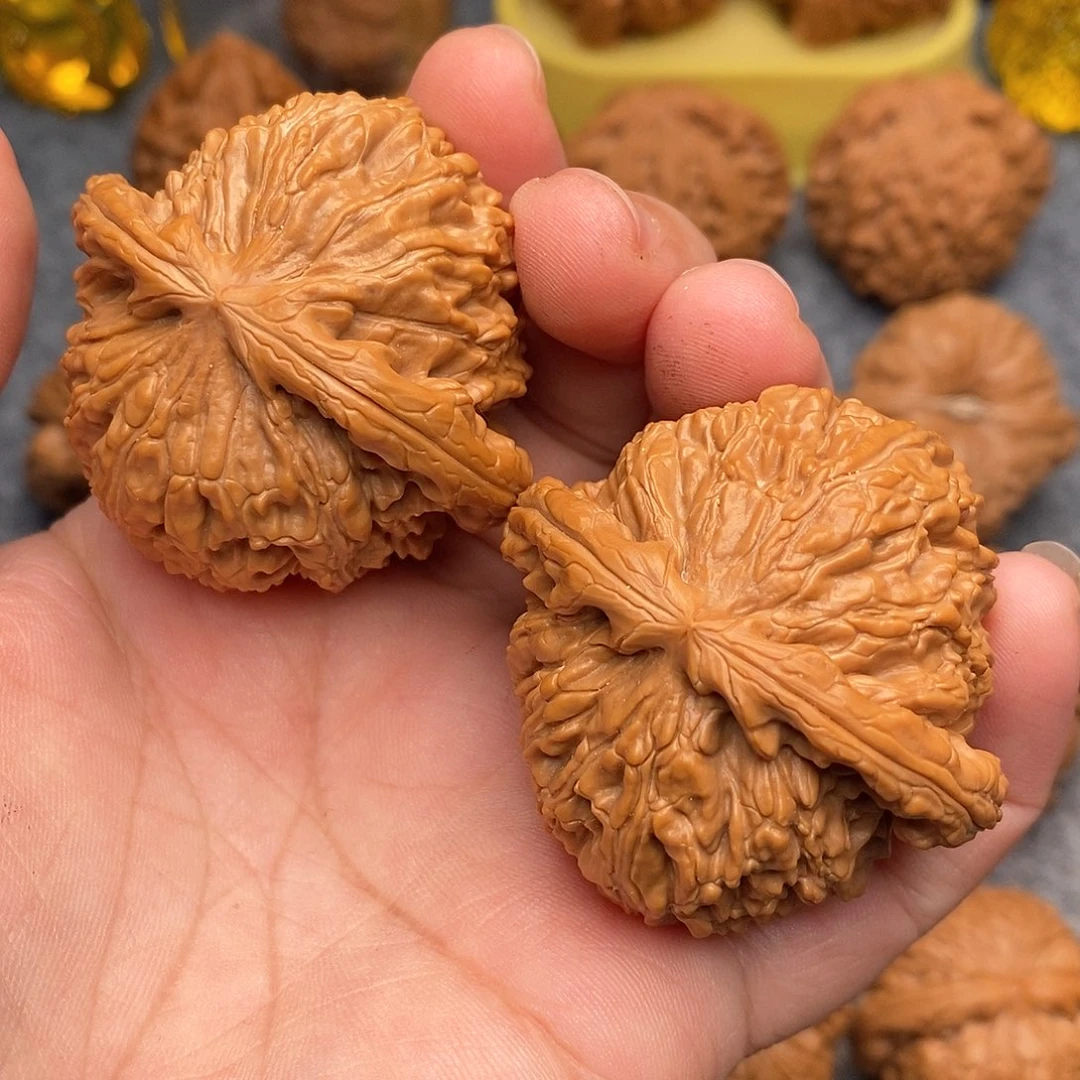 文玩核桃把件47精品毕业白狮子不议价