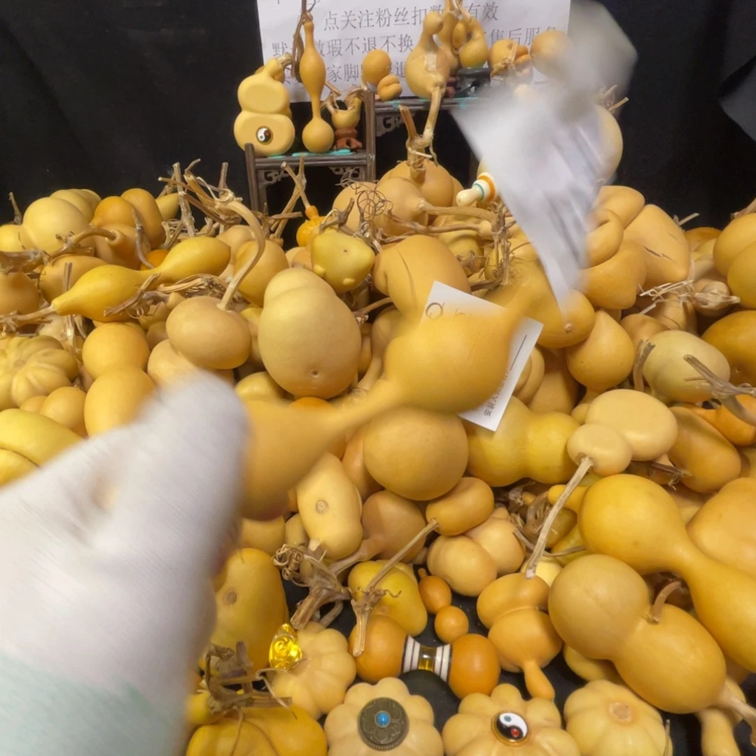 小***˗555555555555555555