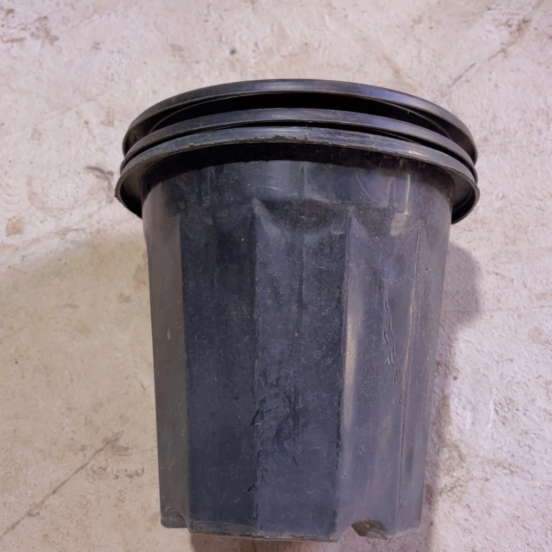 黑砖盆200口径22个