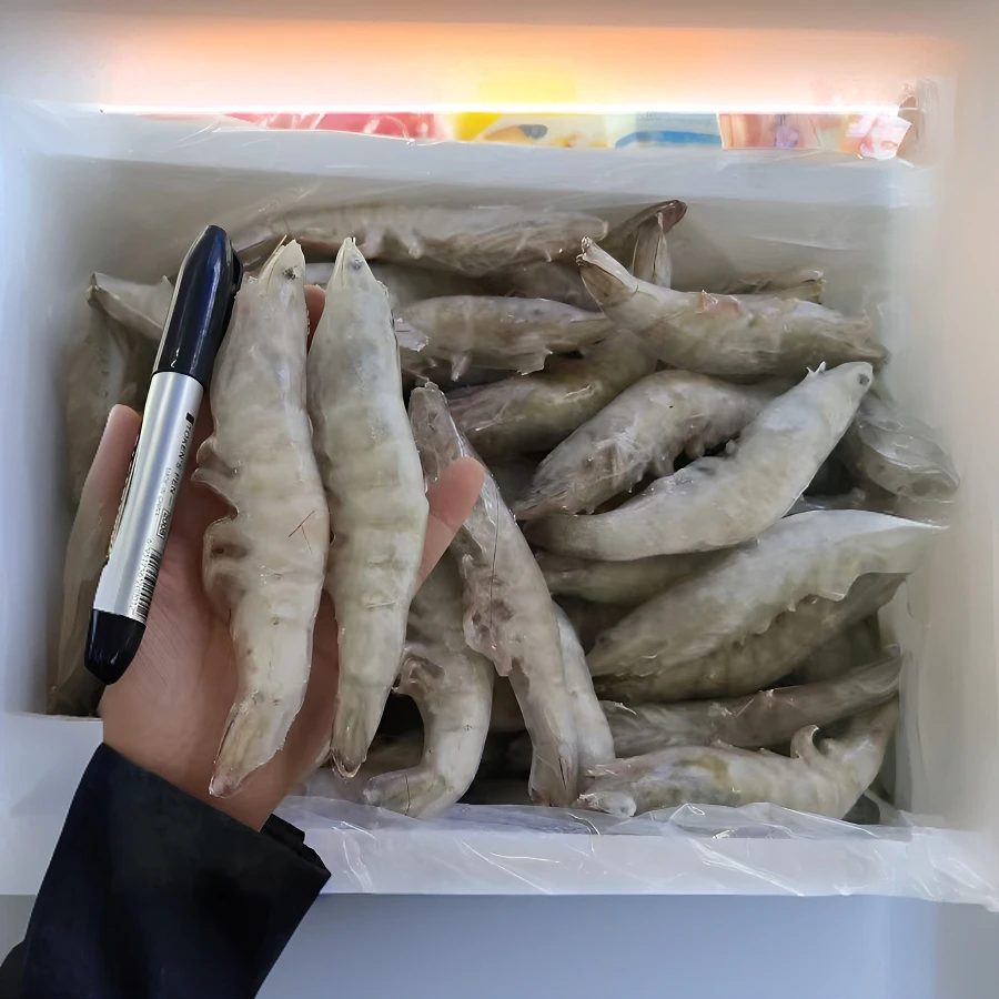 【全疆包邮】湛江单冻6条青虾新鲜活冻4A/5A青虾5KG