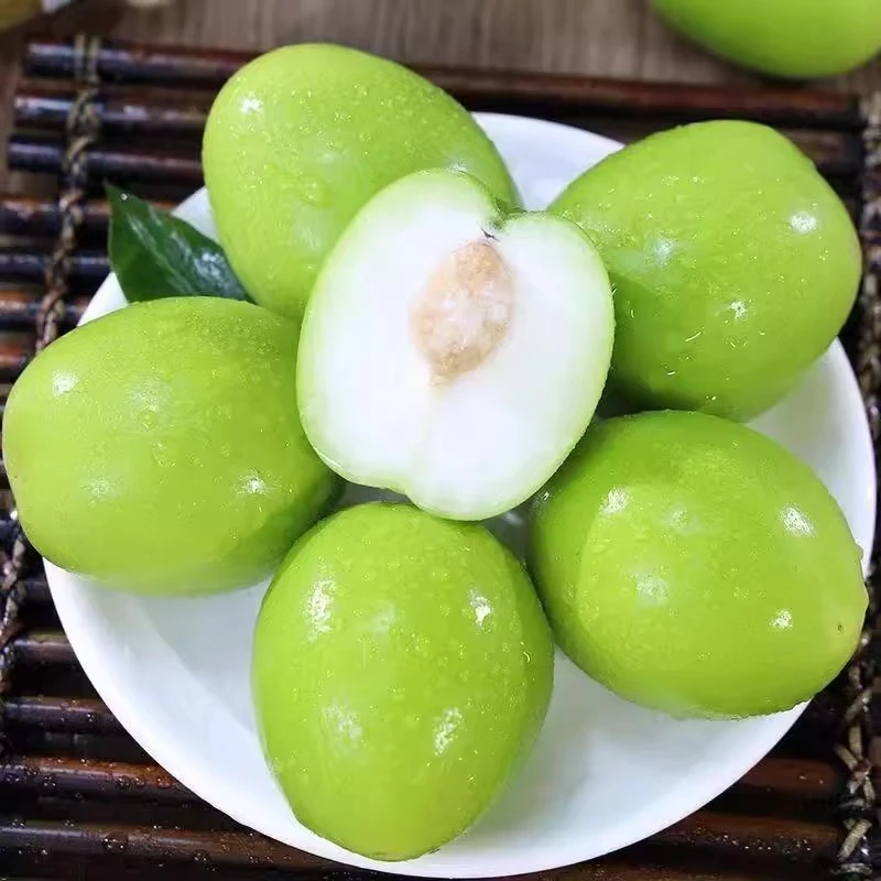 【精先好果】闽南脆蜜枣牛奶枣贵妃枣脆甜多汁新摘采摘包邮