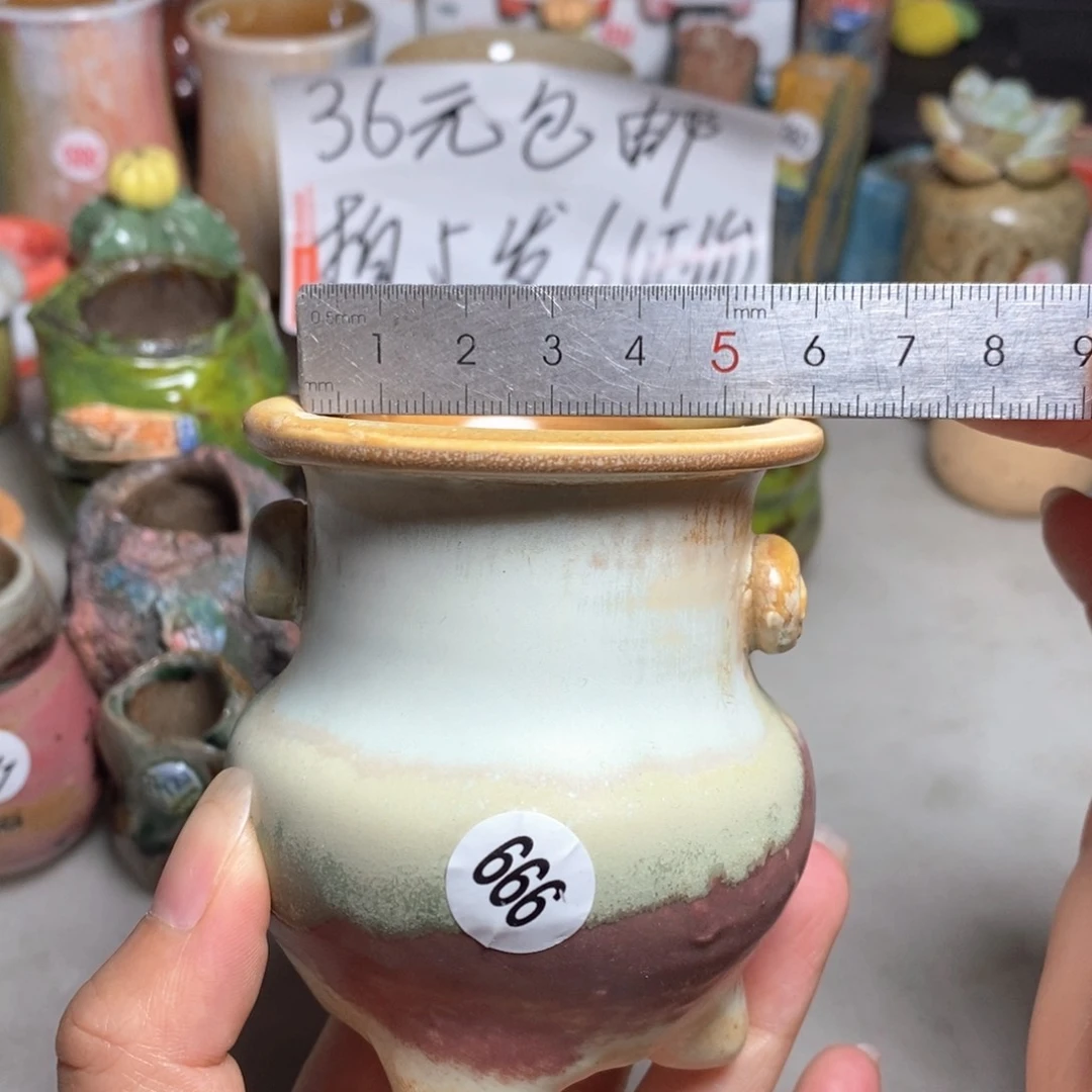 拍5送一个小礼物